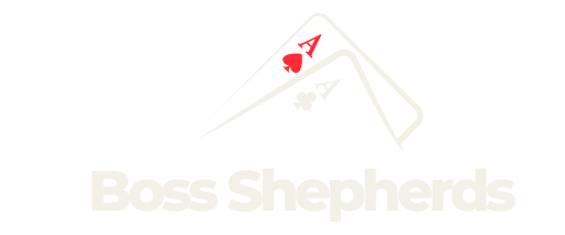 Boss Shepherds